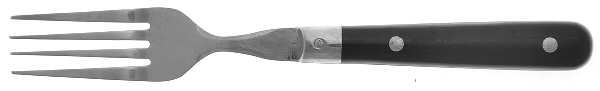 Colours-Black (Stainless) Fork