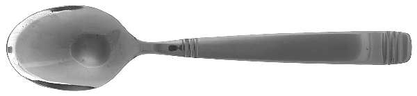 Europa (Stainless) Teaspoon