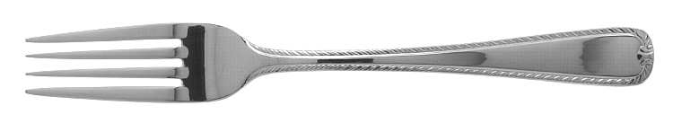 Feather (Stainless) Fork