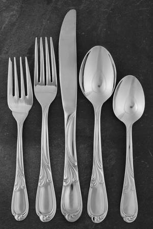 Laurel (Stainless) 5 Piece Place Setting