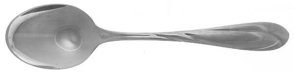 Nicole (Stainless) Teaspoon by Farberware