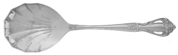Regal (Stainless) Solid Shell Casserole Spoon