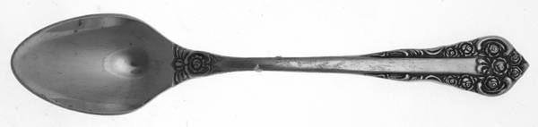 FBR2 (Stainless) Teaspoon