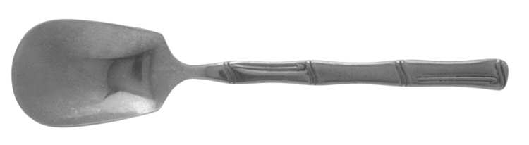 FBR9 (Stainless) Sugar Spoon