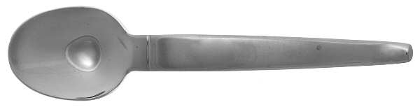 Fjord (Stainless) Teaspoon