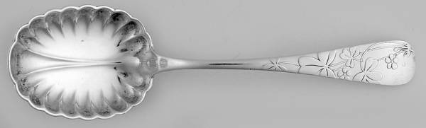 Oxalis (Sterling) Sugar Shell Spoon