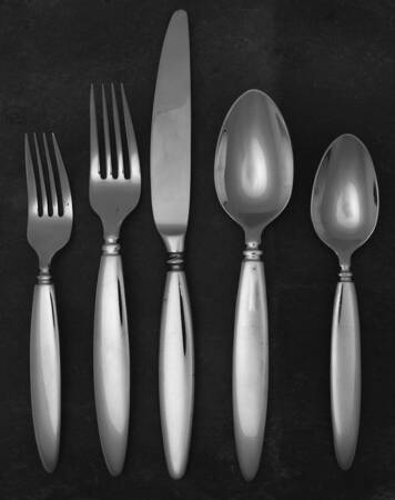 FRW18 (STAINLESS) 5 Piece Place Setting