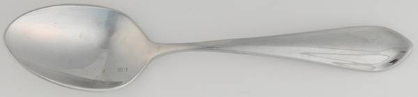 Forge (Stainless) Place/Oval Soup Spoon by Fortessa