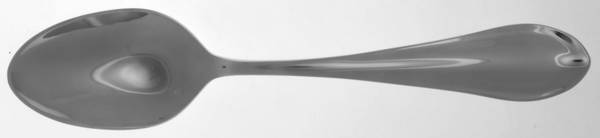 Forge (Stainless) Solid Serving Spoon by Fortessa