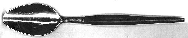 FBR34 (Stainless) Teaspoon