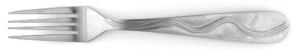FRW37 (Stainless) Fork
