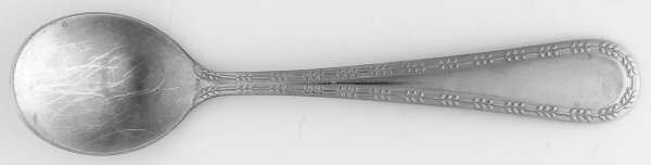 FRW45 (Stainless) Sugar Spoon