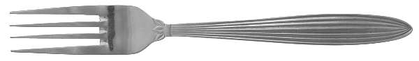FRW49 (Stainless) Fork