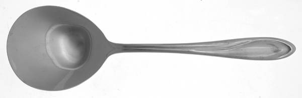 FTU21 (Stainless) Solid Smooth Casserole Spoon