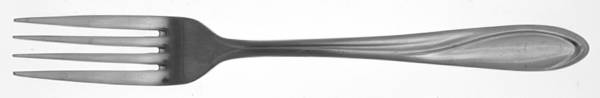 FTU21 (Stainless) Fork