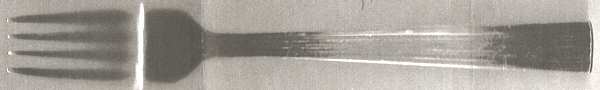 FRW63 (Stainless) Fork