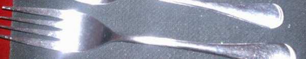 FBR3 (STAINLESS) Fork