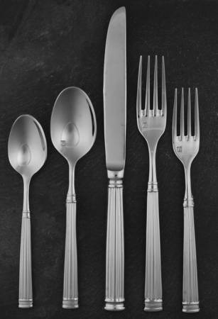 Doria (Stainless) 5 Piece Place Setting by Fortessa
