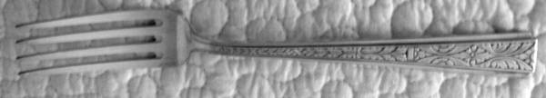 FCZ1 (Silverplate) Fork