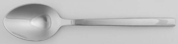 Arezzo (Stainless) Solid Serving Spoon by Fortessa