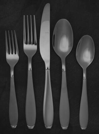 Eucalyptus (Stainless) 5 Piece Place Setting