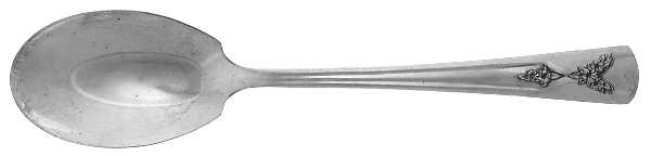 Gailstyn (Silverplate) Sugar Spoon