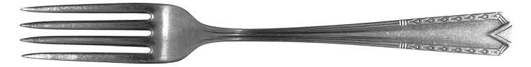 GAS1 (STAINLESS) Fork