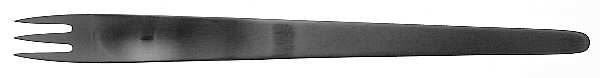 Arne Jacobsen (Stainless, Satin) Youth Fork
