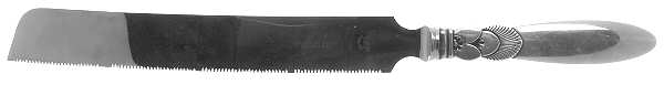 Cactus (Sterling, 1930) Bread Knife with Stainless Blade