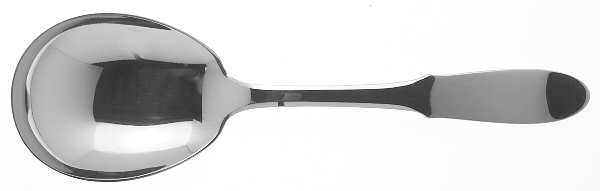 Mitra (Stainless) Solid Serving Set