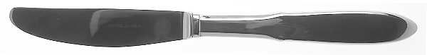 Mitra (Stainless) Modern Long Handle Dinner Knife
