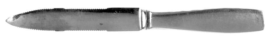 Plata (Stainless) Solid Citrus Peeler