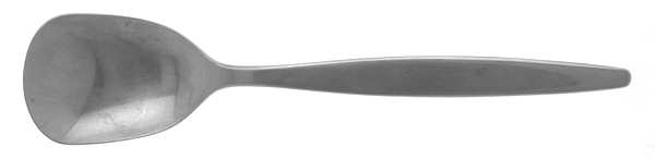 Focus (Stainless) Sugar Spoon