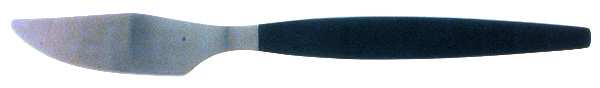 Focus Deluxe-Black (Stainless) Individual Steak Knife Hollow Handle