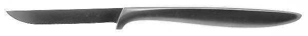 Presentation (Stainless) Individual Steak Knife Hollow Handle