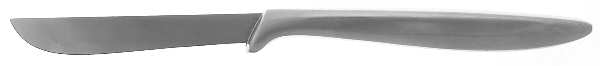 Presentation (Stainless) Individual Steak Knife Hollow Handle