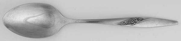 GIF1 Tablespoon (Serving Spoon)