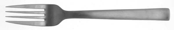 Merit (Stainless, Satin Finish) Fork