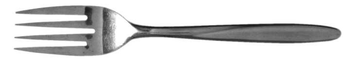 Fifth Avenue Fork
