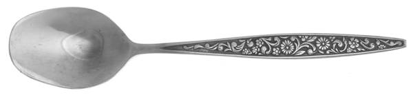 GRN2 Sugar Spoon