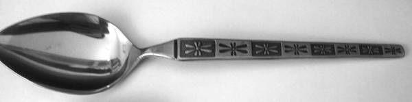 Conquest (Stainless) Teaspoon