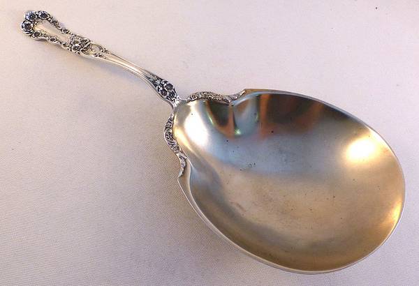Buttercup (Sterling, Lion-Anchor-G, 1899, No Monos) Cracker Spoon