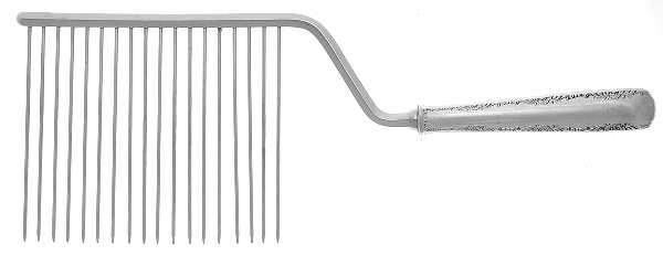 Camellia (Sterling, 1941-1942, No Monos) Cake Breaker with Silverplate Prongs