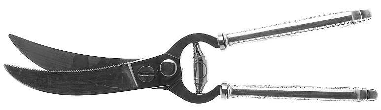 Cinderella (Sterling, 1925) Poultry Shears with Stainless Blades
