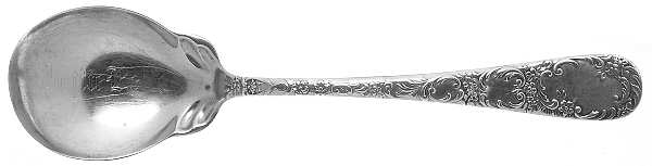 Douglas (Sterling, 1899) Sugar Spoon