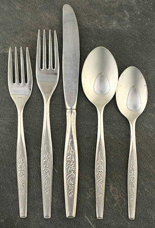 Flower Song (Stainless) 5 Piece Place Setting