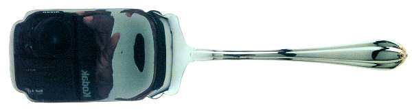 Golden Melon Bud (Stainless-Gold) Lasagna Server, Solid Piece