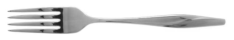 GS6 Fork