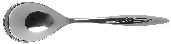 Guiding Star (Stainless) Sugar Spoon