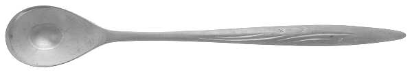 Guiding Star (Stainless) Iced Tea Spoon